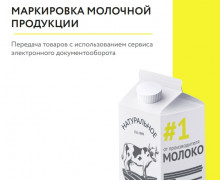 правила маркировки молочной продукции - фото - 1