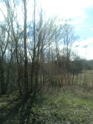 img_20260428_152632