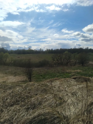 img_20260428_152644