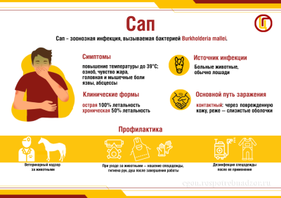 sap_