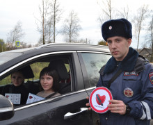сотрудники Госавтоинспекции МО МВД России «Починковский» провели акцию «Пристегнись!» - фото - 6