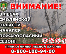 в лесах Смоленской области открыт пожароопасный сезон - фото - 1