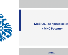 презентация мобильного приложения МЧС России - фото - 10