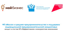 о мерах поддержки в рамках федерального проекта «Малое и среднее предпринимательство и поддержка индивидуальной предпринимательской инициативы» национального проекта «Эффективная и конкурентная экономика» - фото - 44