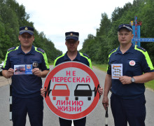 сотрудники отделения Госавтоинспекции МО МВД России «Починковский» совместно с сотрудника отделения Госавтоинспекции МО МВД России «Дорогобужский» провели акцию «Не пересекай линию жизни!» - фото - 5