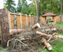 первый старт - фото - 1