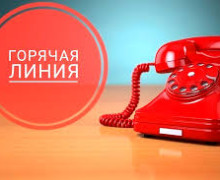 о Всероссийской горячей линии по профилактике клещевого энцефалита и инфекций, передающихся клещами - фото - 1
