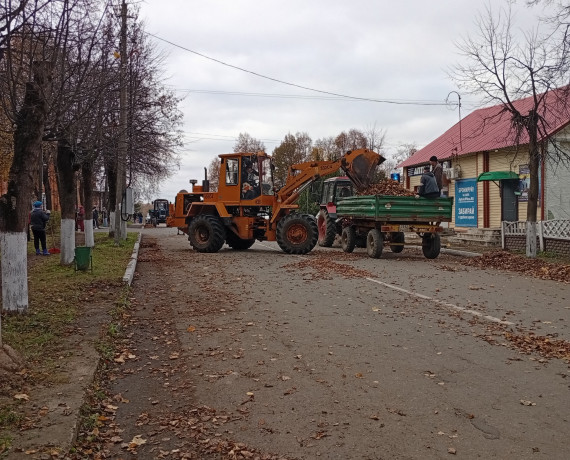 продолжается уборка опавшей листвы - фото - 4