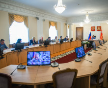 губернатор Алексей Островский обсудил с главами муниципальных образований эпидемиологическую ситуацию - фото - 2