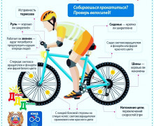 госавтоинспекторы напоминают основные требования по управлению велосипедом - фото - 2